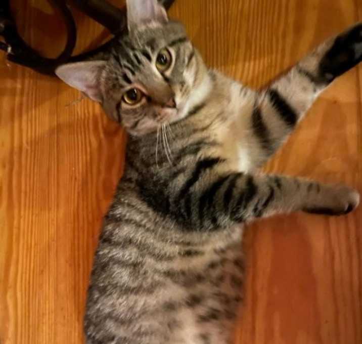 Photo of Charlie