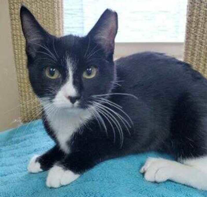 Photo of Sparky