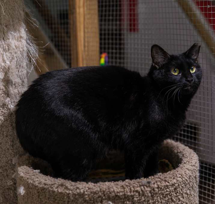 Photo of Inky