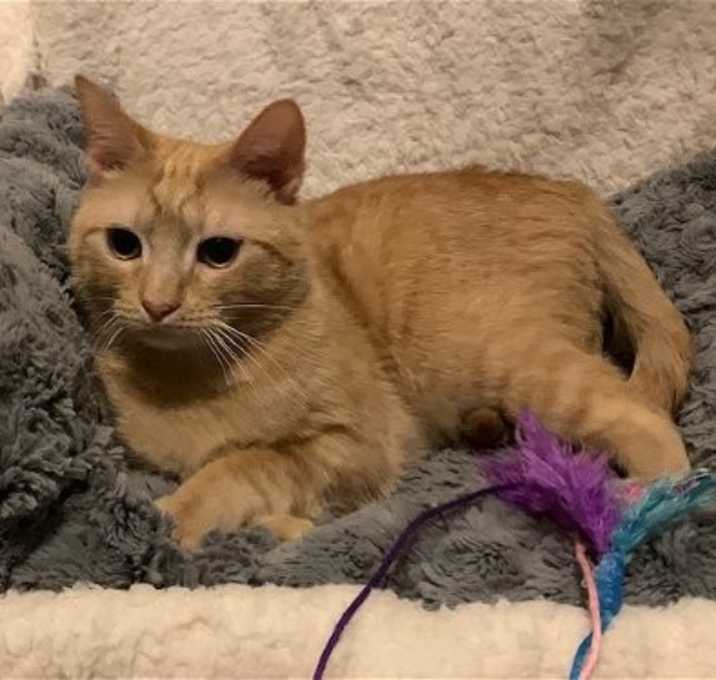 Photo of Spice