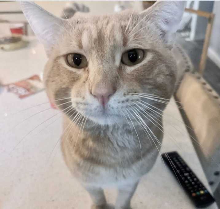 Photo of Marty
