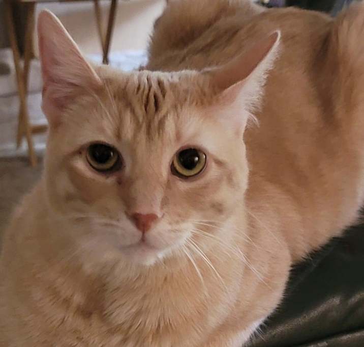 Photo of Winchester