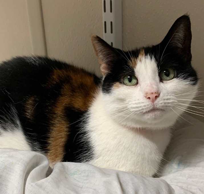 Photo of Kat