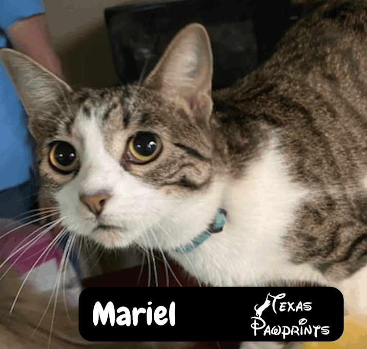 Photo of Mariel