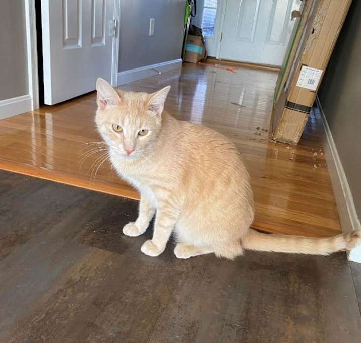 Photo of Reggie
