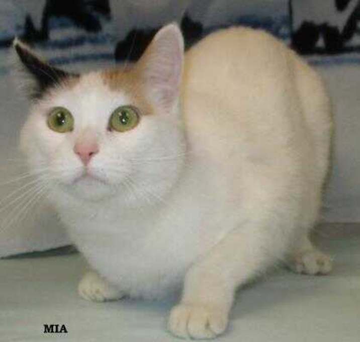 Photo of Mia
