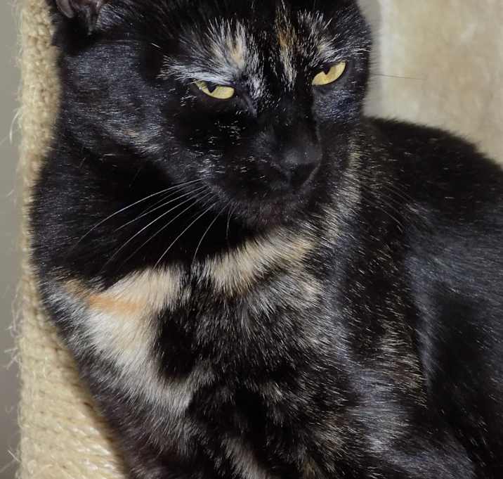 Photo of Lexi