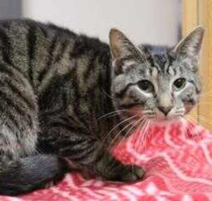 Photo of Templeton