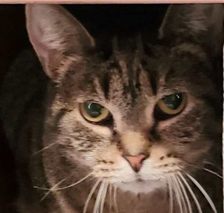 Photo of Lydia