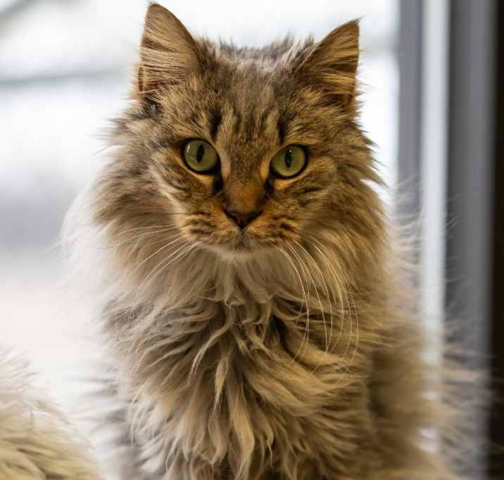 Photo of Quincy
