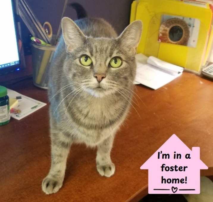 Photo of Spunky