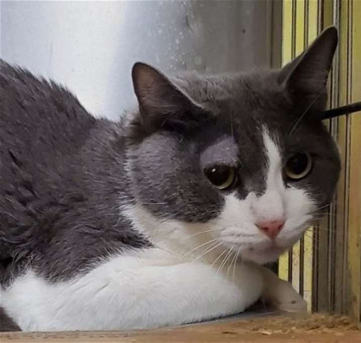 Photo of Ted