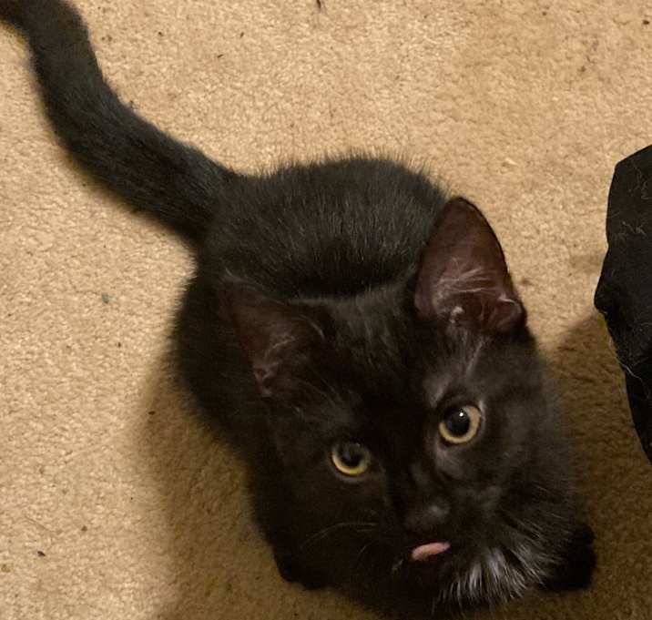 Photo of Max