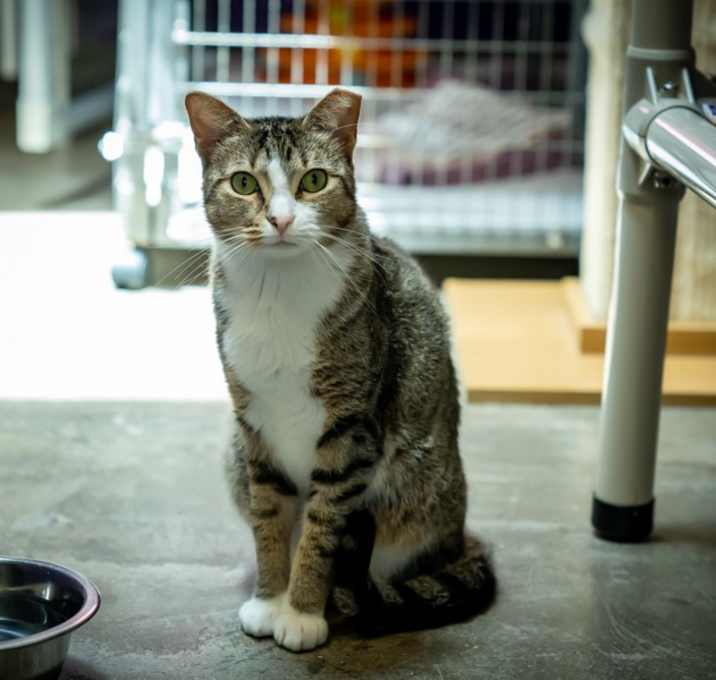 Photo of Marcy