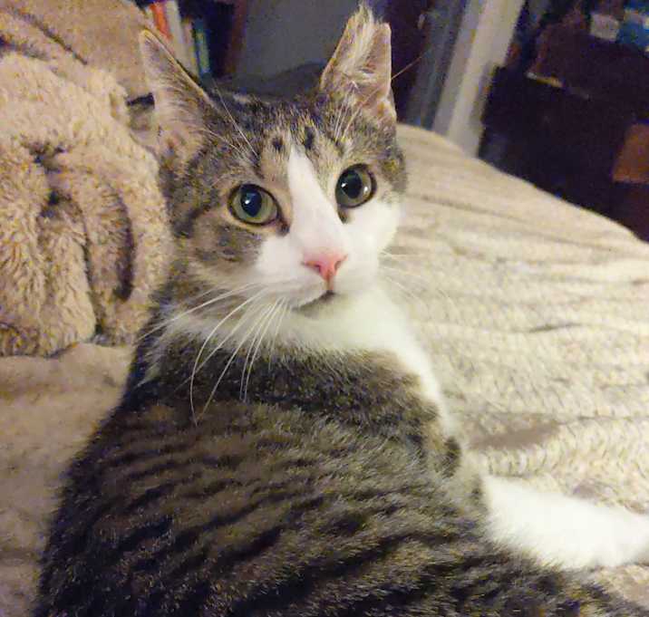 Photo of Selina