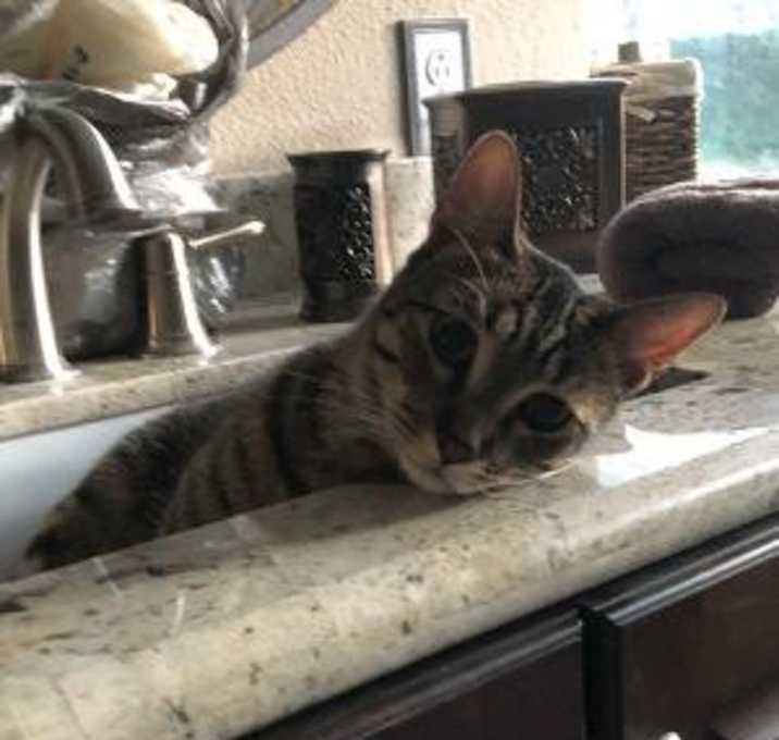 Photo of Cadet