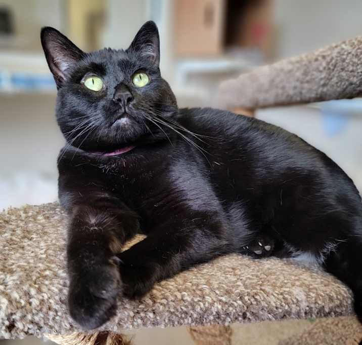 Photo of Zoe