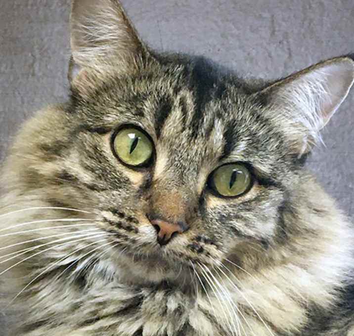 Photo of Decklin