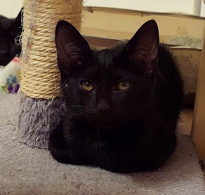 Photo of Bitzy