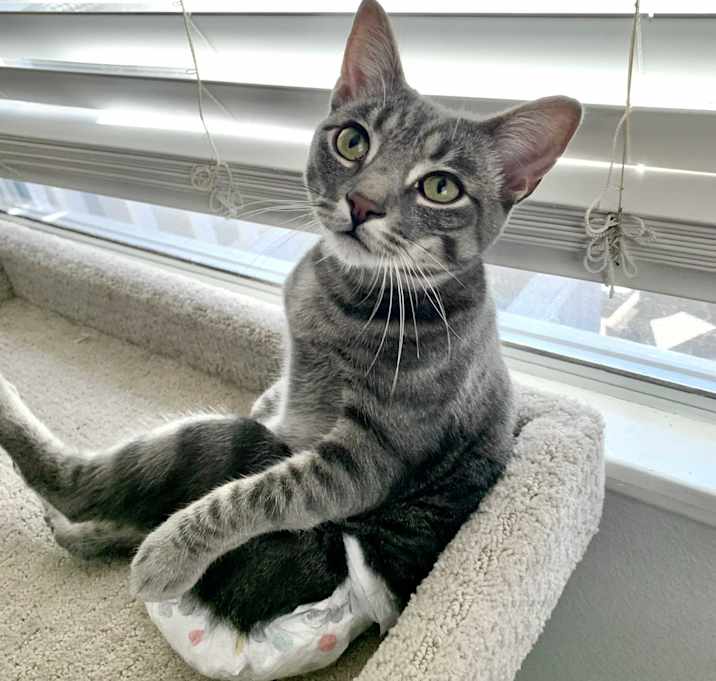 Photo of Bungee