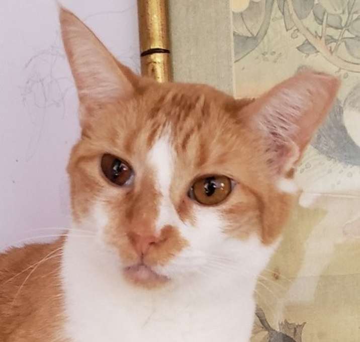 Photo of Ruby
