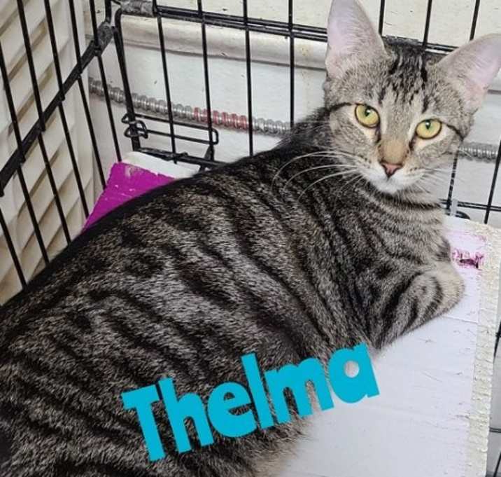 Photo of Thelma