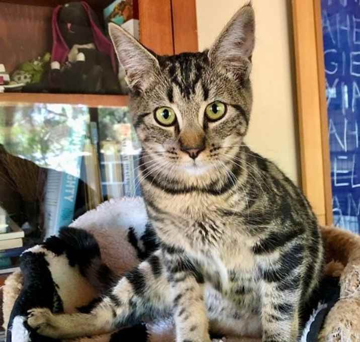 Photo of Polo