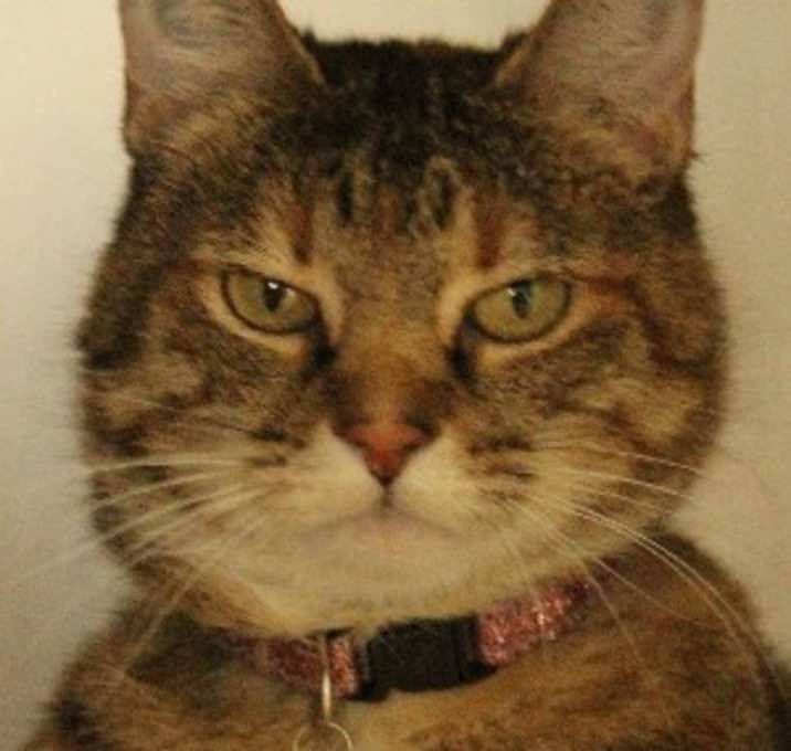 Photo of Sandy