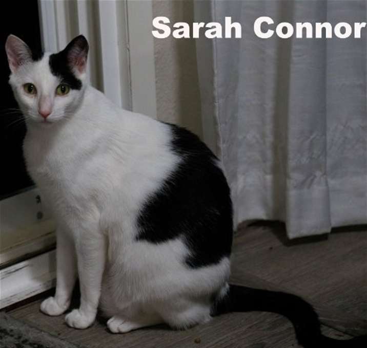 Photo of Sarah Conner (Napa HM)