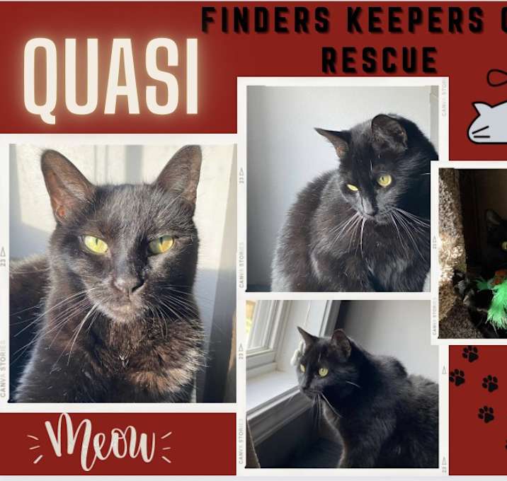 Photo of Quasi