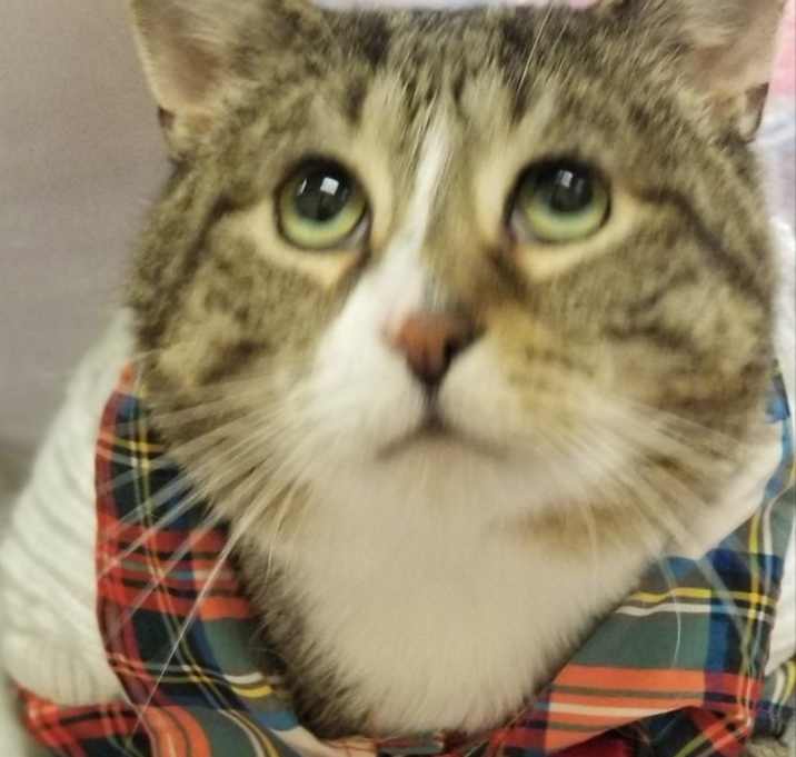 Photo of Peter