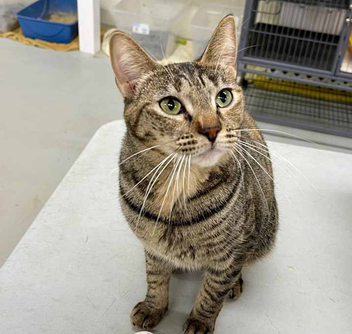 Photo of KIWI