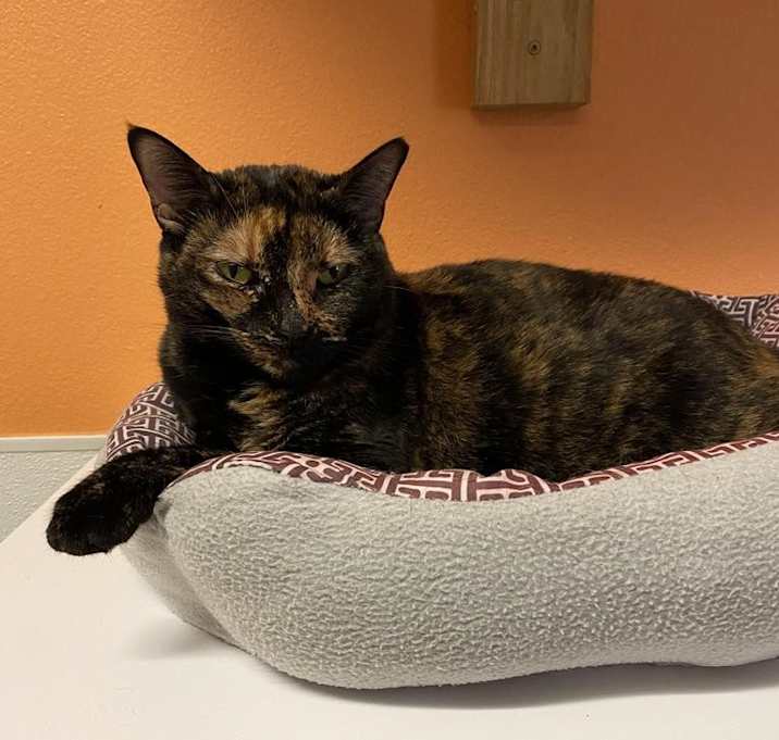 Photo of Spook
