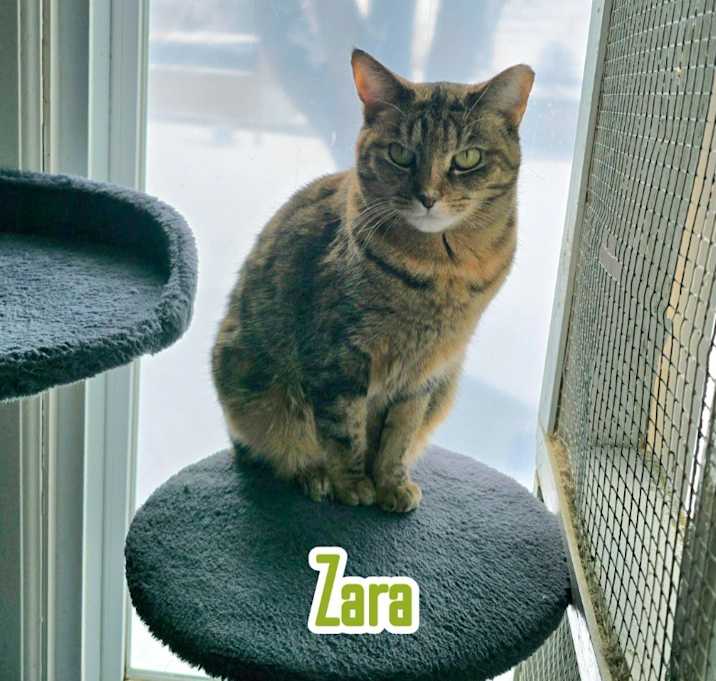 Photo of Zara