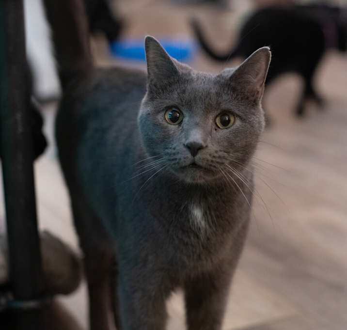 Photo of Jughead