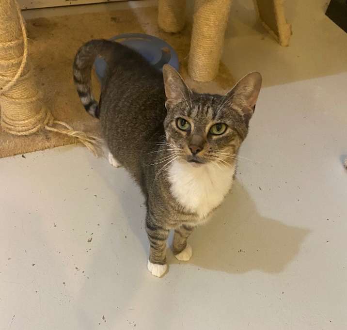 Photo of Mooky