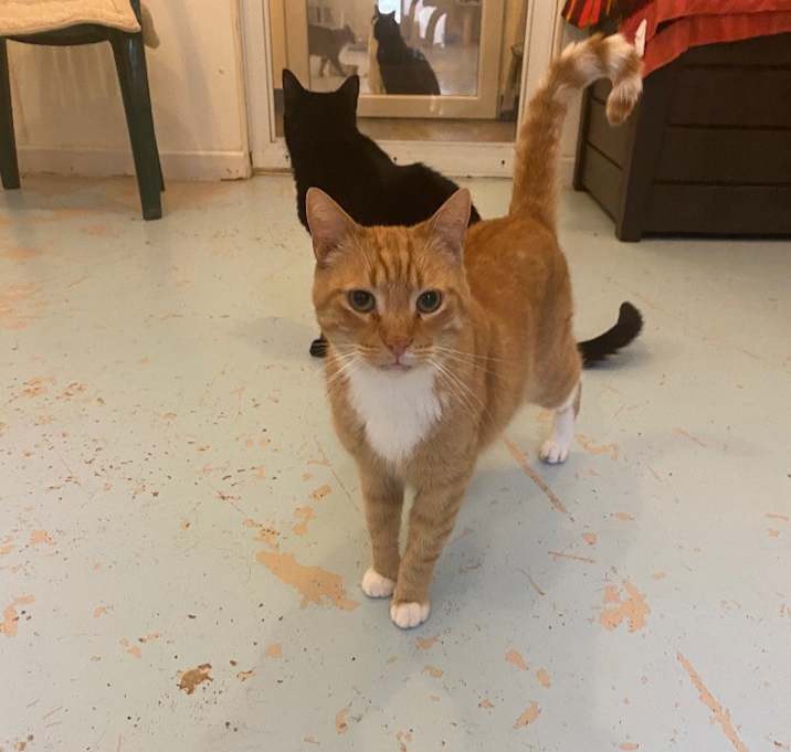 Photo of Red Fred