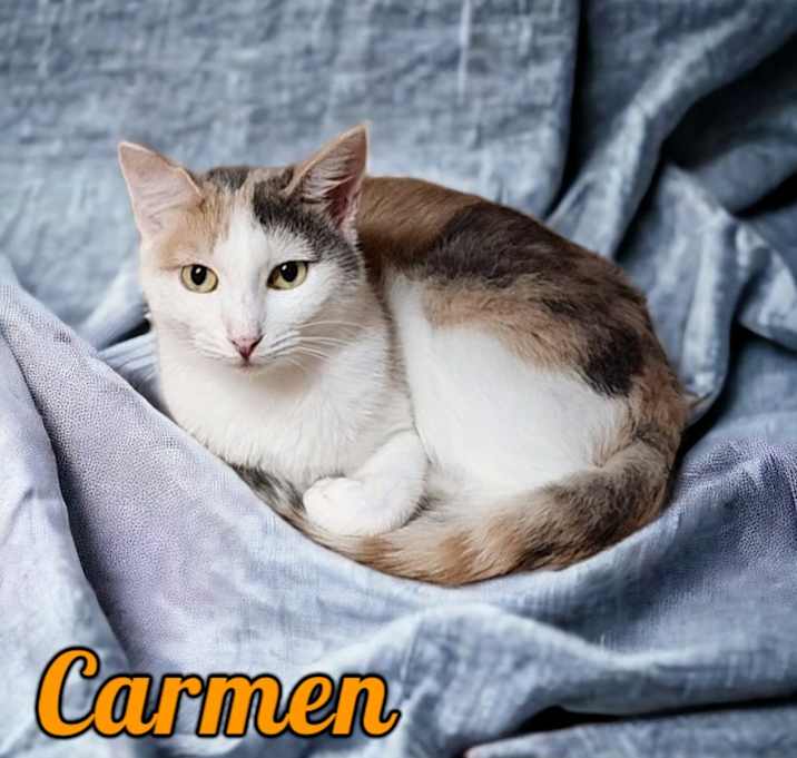 Photo of Carmen