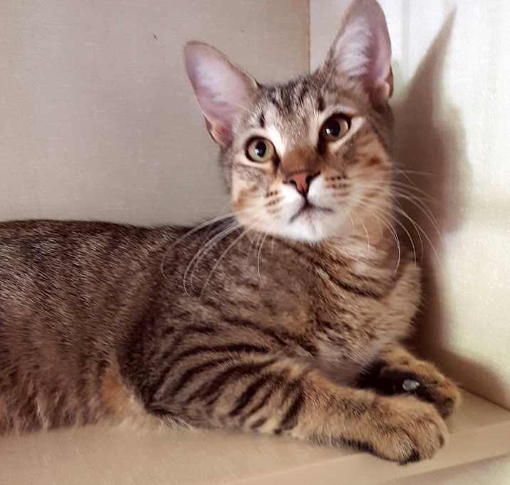 Photo of Leo