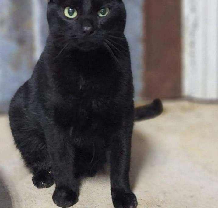 Photo of Teeny