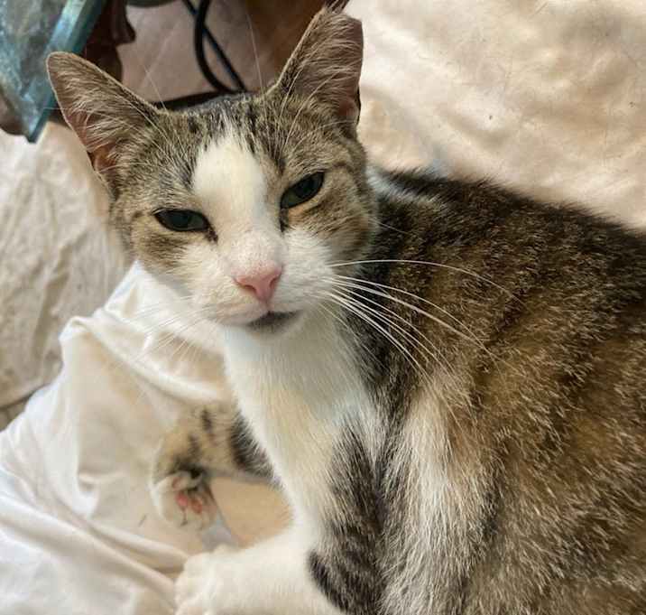Photo of Elbee