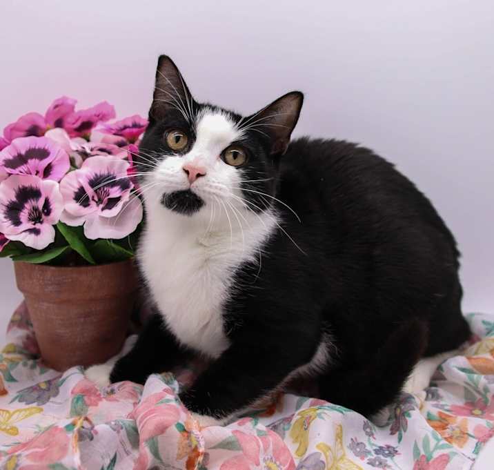 Photo of Kegon
