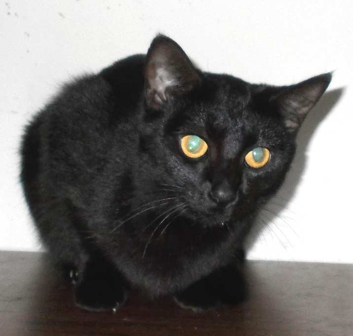 Photo of Ramona
