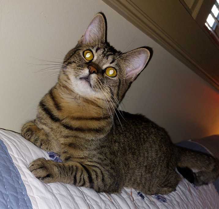 Photo of Chloe