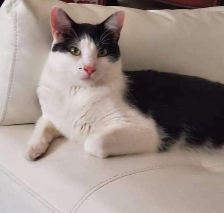 Photo of Benny