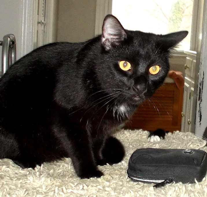 Photo of Gomez