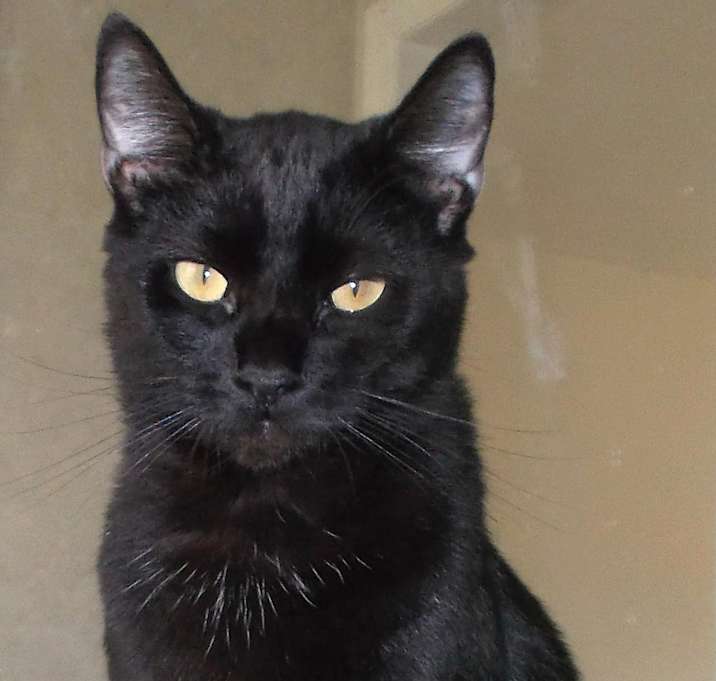 Photo of Travis