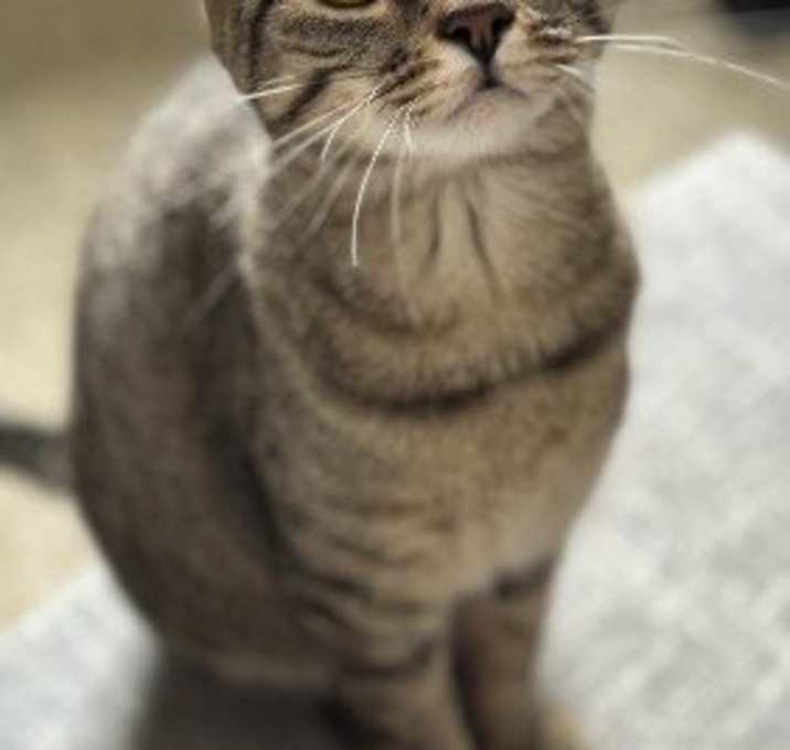 Photo of Carlie