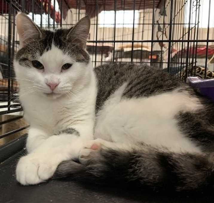Photo of Loretta