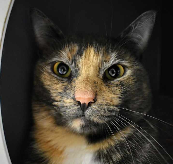 Photo of Susie
